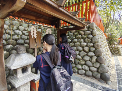 IMG_20250408_114515273_HDR